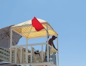 بعد حادث "أبو تلات".. تعرف على ألوان الرايات على الشواطئ ومعناها