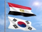 العلاقات المصرية الكورية.. شراكة استراتيجية تتقدم بثبات نحو مستقبل واعد