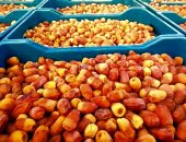 تمور الوادى الجديد ترسم البسمة على وجوه المزارعين