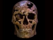 دراسة: أقدم دليل على العنف فى فيتنام يؤكد مقتل رجل بسهم حجرى قبل 12 ألف عام