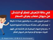 السعار قاتل.. وزارة الصحة تصدر دليل الإسعافات الأولية عند عقر الحيوانات