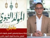 هذه الجهات إجازة الخميس المقبل بمناسبة المولد النبوى.. فيديو