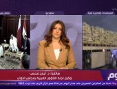 أيمن محسب: الولايات المتحدة تمنح إسرائيل فرصة لتنفيذ مخططاتها فى غزة