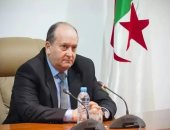 خلفا لـ"العرباوى".. من هو سيفى غريب رئيس وزراء الجزائر الجديد؟