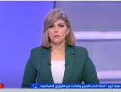 أحمد فؤاد أنور: مجموعة يمينية متطرفة تتحكم في قرارات حكومة الاحتلال وتهدد أمنها الداخلي