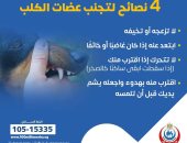 وزارة الصحة توضح 4 نصائح لتجنب عضات الكلب.. تقاصيل