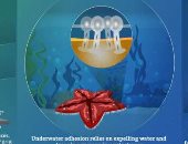 أقدام مستوحاة من نجم البحر تساعد الروبوتات تحت الماء على الإمساك