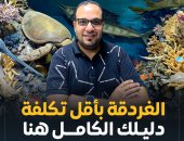 رحلتك إلى الغردقة بأقل تكلفة.. دليلك مع برنامج "كده رضا".. فيديو