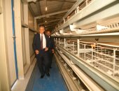 بعد توقف سنوات طويلة.. مشروع إنتاج 70 مليون بيضة سنويا بمحطة طنطا يدخل الخدمة.. إسناد تشغيله لشركة خاصة لمدة 15 عاما.. ومحافظ الغربية: المشروع سيحقق الاكتفاء الذاتى من بيض المائدة ويضبط الأسعار ويخلق فرص عمل