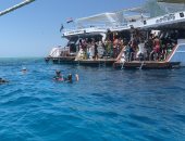 رحلات السنوركلنج بالغردقة.. تجربة السحر فى أعماق البحر الأحمر