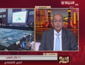 خبير اقتصادى لـ"الحياة اليوم": مصر صوت إفريقيا المسموع في مجموعة العشرين