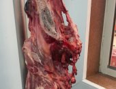 "الزراعة": ضبط أكثر من 372 طن لحوم ودواجن وأسماك غير صالحة خلال أغسطس