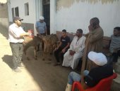 في 10نقاط.. فعاليات حملة التحصين ضد فيروس SAT-1 لحماية الثروة الحيوانية بأسيوط