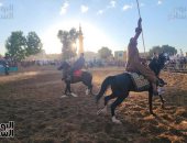 الخيالة يضيئون ليالي المولد النبوي بقرية منشأة العماري في الأقصر