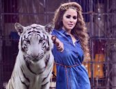 سرقة نمر أبيض نادر من سيرك المدربة أنوسة كوته وبيعه فى الإسكندرية