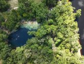 شبح التغير المناخى يسيطر على ينابيع فلوريدا الأمريكية