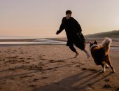 تفسير حلم الجري من الكلاب.. هروب من مسئولية وصراع داخلى