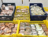 السمسمية والفولية أشهر الأنواع.. إقبال على شراء حلوى المولد النبوي الشريف فى محافظة الغربية.. مواطنون: الأسعار في متناول الجميع.. مدير مصنع حلويات: الكيلو يبدأ من 150 جنيها لأجود الأنواع.. صور