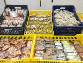  إقبال على شراء حلوى المولد النبوي الشريف فى محافظة الغربية.. السمسمية والفولية أشهر الأنواع