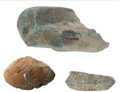 أدلة جديدة تكشف استخدام صبغة النيلى الأزرق منذ 34000 عام