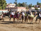 هنروح المولد.. استمتع بأجواء احتفالات المولد النبوى فى قرى الأقصر (فيديو)