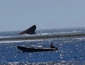 غرقت من 10 شهور.. ظهور حطام سفينة على أحد شواطئ القصير.. صور