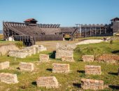 بقايا الدببة تكشف عن الاستخدام الوحشى للحيوانات فى "الترفيه الرومانى"