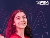 أمينة عرفى تتأهل لنهائى بطولة بريطانيا المفتوحة للاسكواش