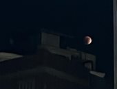 القمر الدموى يظهر فى سماء المنصورة.. فيديو 