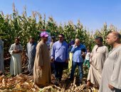 وكيل زراعة سوهاج يفتتح حصاد محصول الذرة الشامية بقرية العزيزات