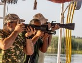 عودة الطيور المهاجرة بعد غياب 122 عاما... ظهور طائر الغاق الأفريقى على ضفاف النيل بأسوان