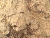 مركبة "بيرسيفيرانس" ترصد صخرة على شكل سلحفاة فى فوهة جيزيرو على المريخ