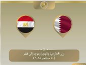 وزير الخارجية يتوجه إلى الدوحة للإعراب عن تضامن مصر مع قطر.. فيديو