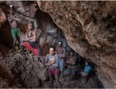 تقرير صادم لمنظمة العمل الدولية.. 138 مليون طفل لا يزالون فى سوق العمل.. 54 مليونا منهم بأعمال خطرة.. والقارة الإفريقية تحتضن ثلثى الأطفال العاملين بالعالم بواقع طفل من كل خمسة.. ومناطق النزاعات أعلى بـ4 أضعاف