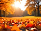 خريف 2025 بدأ رسمياً في مصر والوطن العربي والنصف الشمالي للكرة الأرضية.. الفصل يستمر 89 يوما و20 ساعة و44 دقيقة.. أستاذ بـ"البحوث الفلكية": تساوى الليل والنهار.. وجمعية فلكية تحذر من تقلباته الجوية