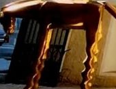 القبض على لص سرق "حمار" الفنان السيد عبده سليم من جاليرى ضى الزمالك