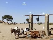 أسرار أهالى الصحراء الشرقية.. يقرأون السماء ويستدلون بالنجوم لمعرفة الطقس.. يعلمون مواسم المطر والحر من حركة النجوم.. ظهور الثريا من الشرق يوحى بسقوط الأمطار.. ونجم الجوزاء "إيمهى" تظهر معه موجة الحر.. صور