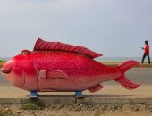 شئ ولا فى الخيال.. توابيت الموتى حسب مهنة المتوفى فى غانا