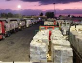 مصر تصنع السلام فى منطقة مضطربة.. سياسيون: الرئيس السيسى وضع معادلة صون استقرار الشرق الأوسط فى إطارها الإنسانى والوطنى.. ويؤكدون: إرادة الشعب هى خط الدفاع الأول عن الوطن وحمايته