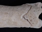 صافرة مصرية عمرها 3300 عام استخدمها ضابط شرطة مكلف بحراسة المقبرة الملكية