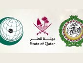 برلمانى: قمة الدوحة محطة سياسية فارقة ورسالة قوية للمجتمع الدولى