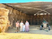 تجميع 12.8 ألف طن قش أرز منذ بداية الحصاد فى الشرقية