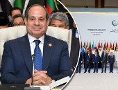 رئيس حزب الجيل: الحملات الصهيونية ضد الرموز العربية لن تنجح فى ضرب التضامن العربي