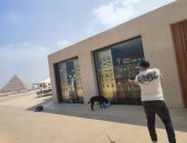 محافظة الجيزة: تحصين الكلاب الحرة بالمنطقة الأثرية لحماية المواطنين والزائرين