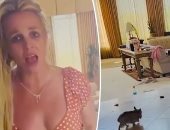بريتني سبيرز ترد على الانتقادات بعد فيديو أثار الجدل حول منزلها