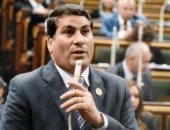 برلمانى: التفاف الشعب حول وطنه السلاح الأقوى لإسقاط المؤامرات