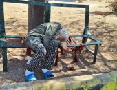 مات الأب وهجرها الأشقاء.. وفاة سورية على دكة حديقة عامة تثير تفاعلاً بين السوريين