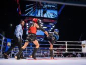 تأهل 4 مصريين إلى نهائيات بطولة العالم للمواي تاي بالإمارات