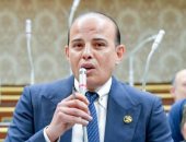 برلمانى: التوافق المصري – الإسباني يرسخ مركزية القضية الفلسطينية