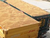 سوهاج تتصدر موسم توريد القمح 2025.. زيادة 20% عن المستهدف بناتج 186 ألفًا و254 طن.. صرف 2.5 مليار جنيه للمزارعين وأرقام قياسية وثقة متجددة بين الفلاح والدولة.. توسيع الرقعة الزراعية إلى 193 ألف فدان "صور" 